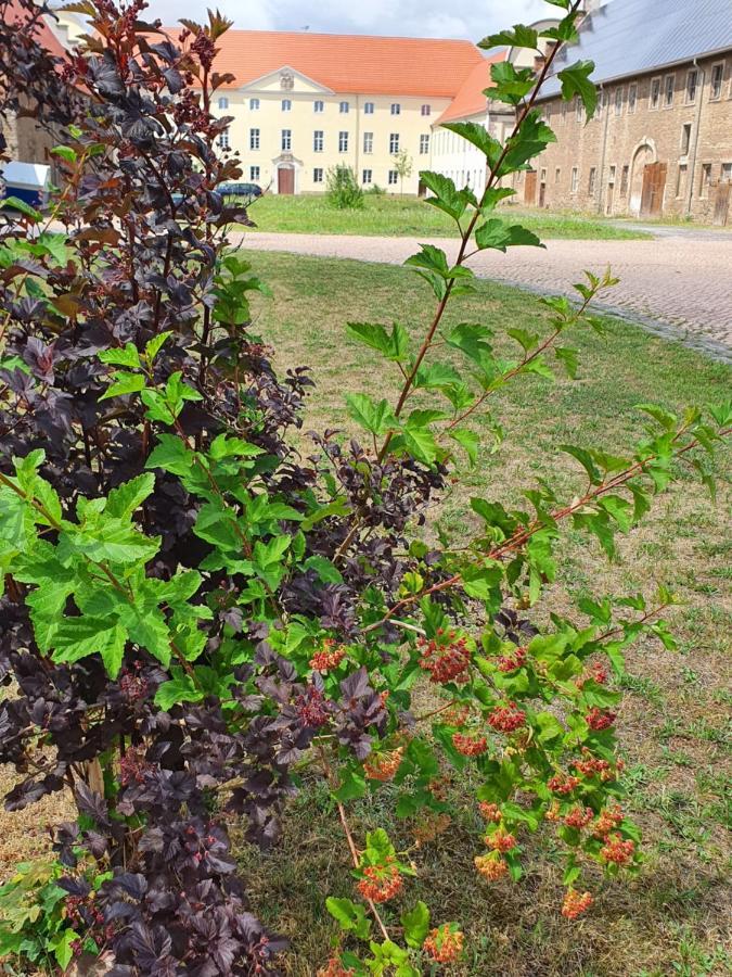 Sonnenschloss Walbeck  Exterior foto