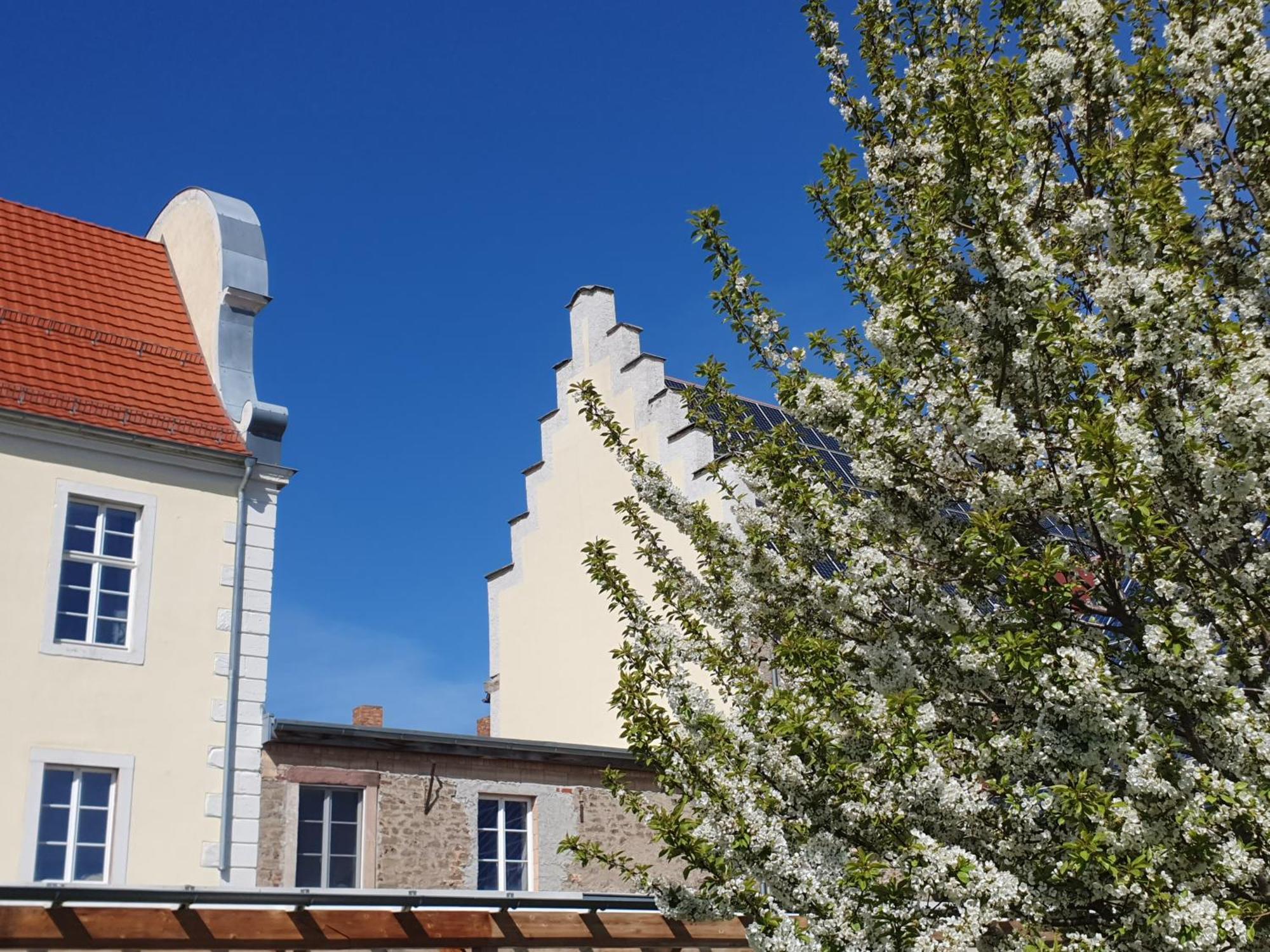 Sonnenschloss Walbeck  Exterior foto